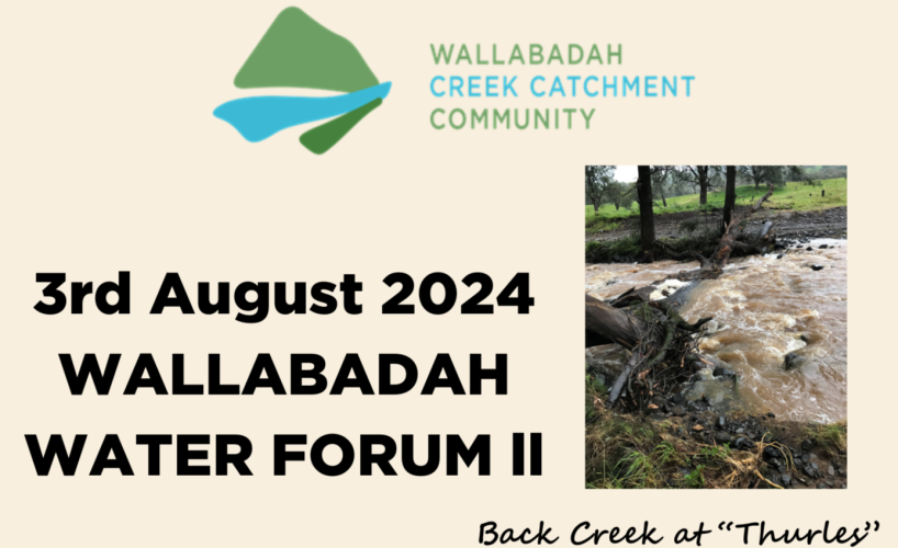 Wallabadah Water Forum II