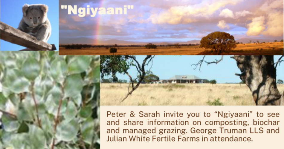 "Ngiyaani" Mini Field Day