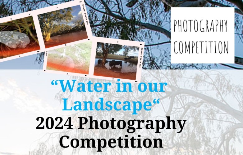 2024 Photo Competition