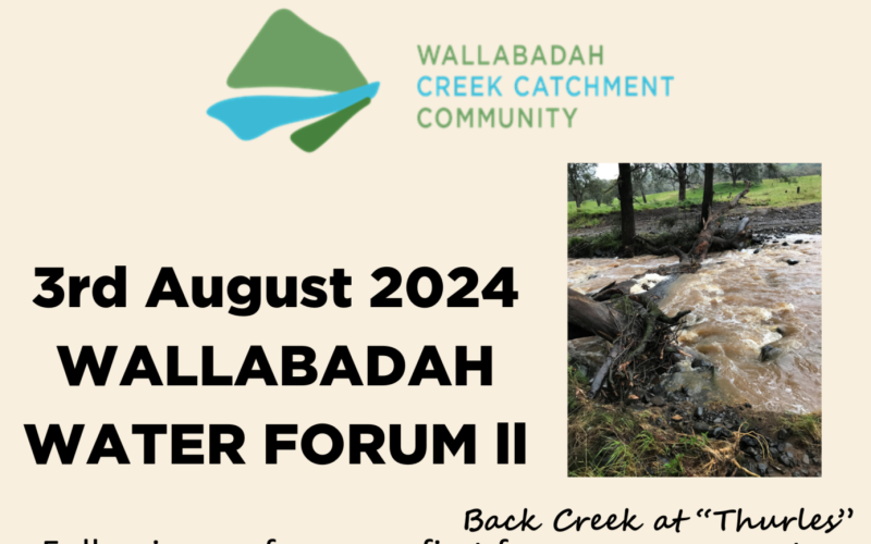 Wallabadah water forum