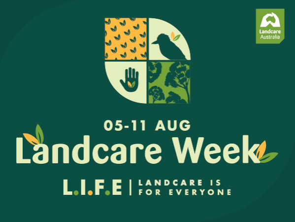 Landcare Week: Plantings, Chats, and Cuppas – Grow, Share, Sip!