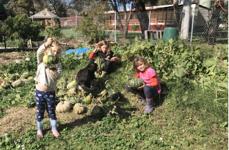 Latest news from Gunnedah Urban Landcare Group