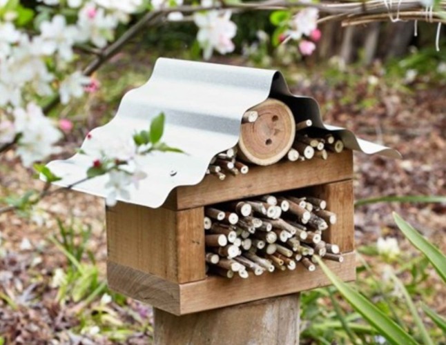 Building Biodiversity: Insect Hotels for Every Garden