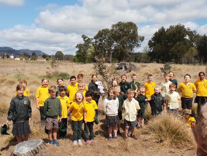 Bendemeer Primary Students Plant the Seeds of the Future for Koalas