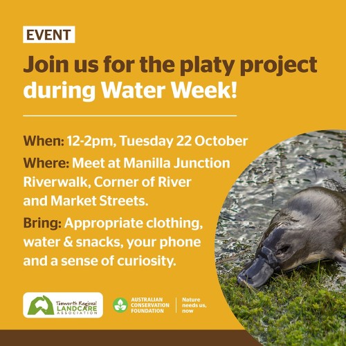 Platy-project community event - Manilla