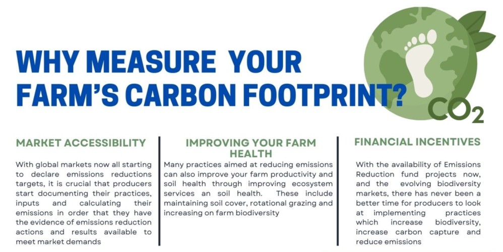 Why measure your farm's carbon footprint?