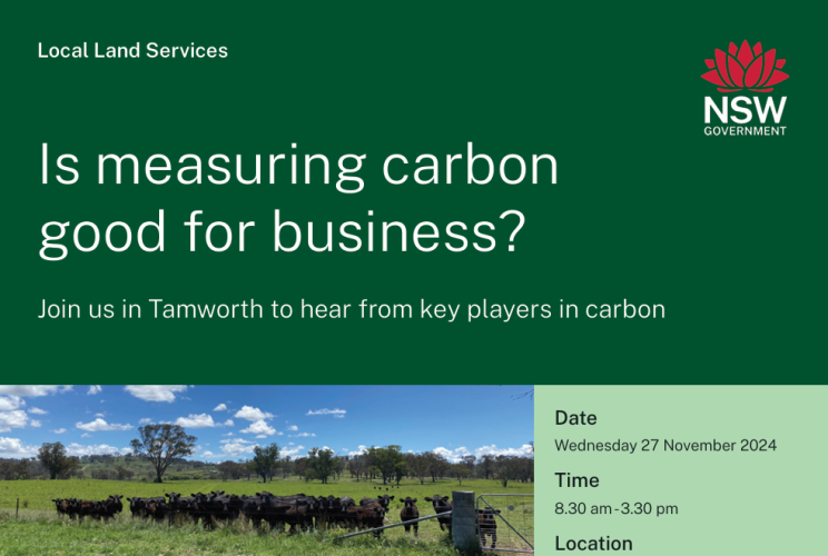 Is measuring carbon good for business?