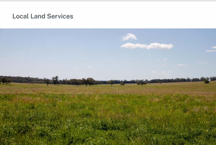 Small Farms Pasture & Weed ID Workshop