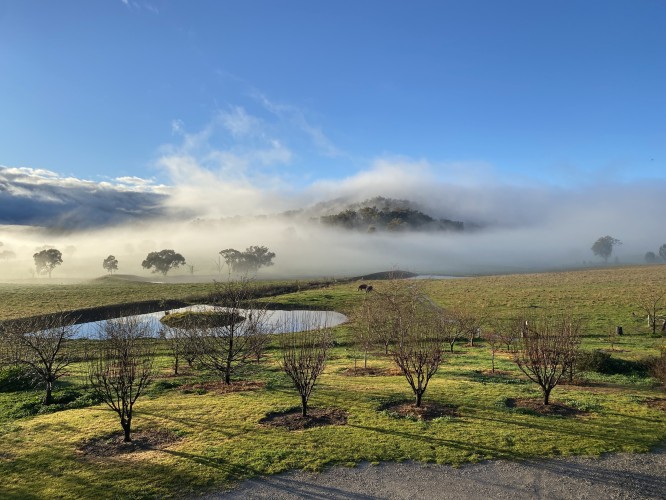 Tamworth Regional Landcare Association 2024 Photography Competition Results Announced