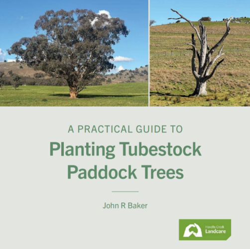 Why Autumn is the Best Season for Planting Farm Trees: Plan Ahead for Success