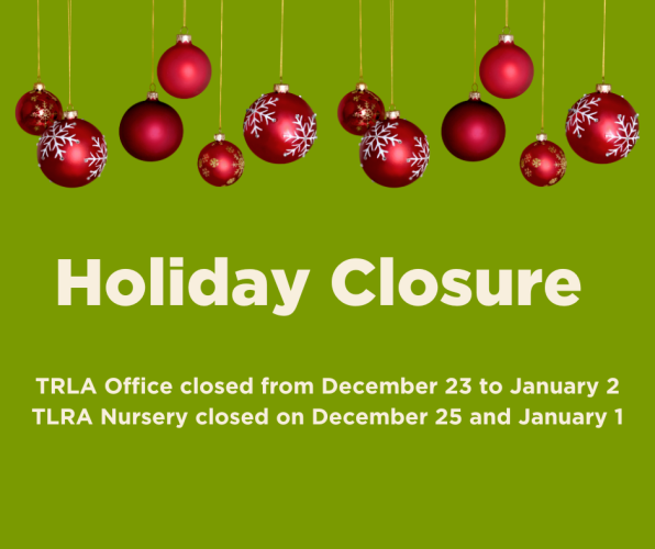 🎄 Holiday Closure Notice 🎄