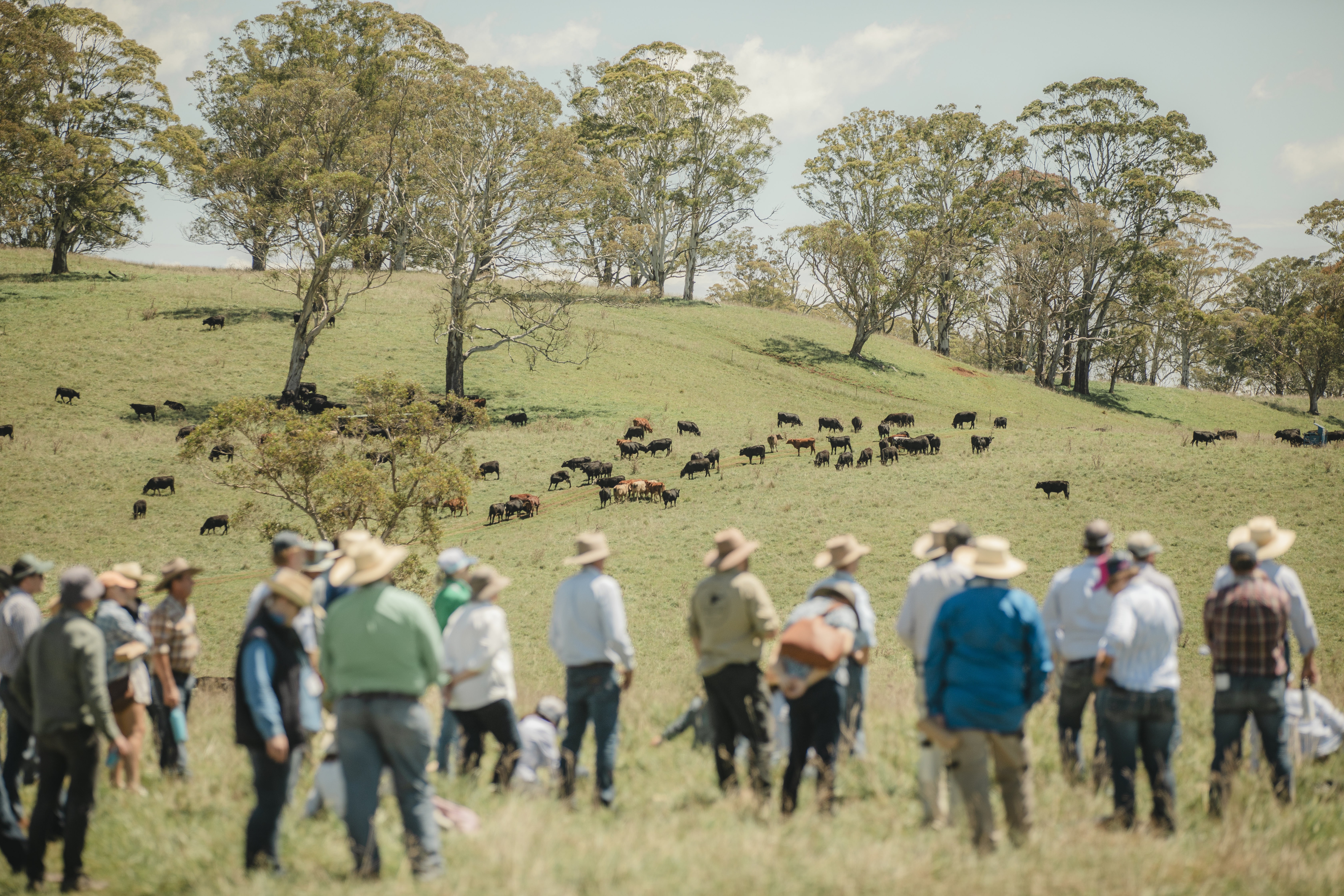 Don’t miss out on Early Bird tickets, now on sale for @Wilmot Field Day 2026.
